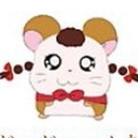 全てがめんどくさくなったので闇篭りしたんですけど、Twitterがないと生きていけないっぽいので一時帰省してます