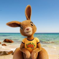 Australia (@australia) 's Twitter Profile