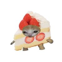 ๐ฐ (@minabaking) 's Twitter Profile