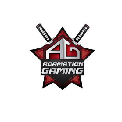 AdamationGaming's profile picture. Cornfield out now!