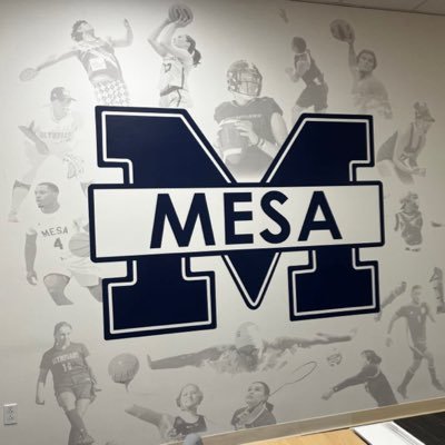 San Diego Mesa College Softball🥎💙🦍