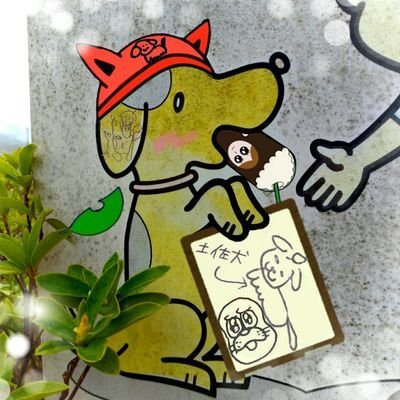 土佐犬.comさんのプロフィール画像