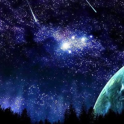 xMaiden_'s profile picture. 