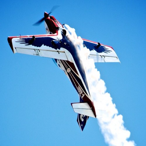 Jokeruzzo's profile picture. commit your entire life to a dream.