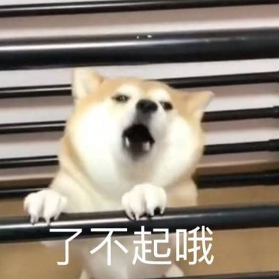 readallstories's profile picture. 没啥特长，听说NFT都有故事，那就讲个故事吧