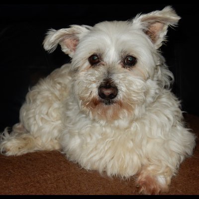 Mitchell_McC's profile picture. Male.