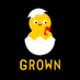 ナイト系対応WEB制作会社【GROWN/グロウン】 (@grown_co_ltd) Twitter profile photo ナイト系対応WEB制作会社【GROWN/グロウン】 (@grown_co_ltd) Twitter profile photo