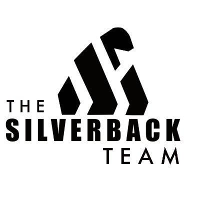 The Silverback Team