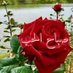 عبده علي علي وابل (@bdhwabl) Twitter profile photo عبده علي علي وابل (@bdhwabl) Twitter profile photo