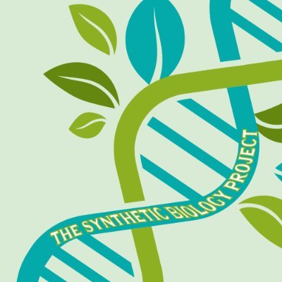 thesynbioproj's profile picture. 🧬 Providing educational snippets on Synthetic Biology topics. Visit our interactive website in the bio! #SciComm 

🌟 Find us @thesynbioproject on Insta/FB!