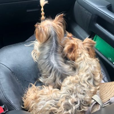 gabyli_ Profile Picture