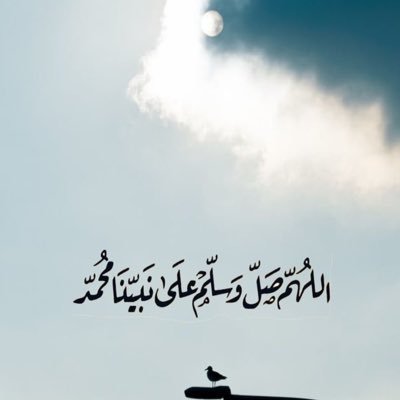 altall11's profile picture. هو ربُّ المُستحيل وأنت تبكي على المُمكن.