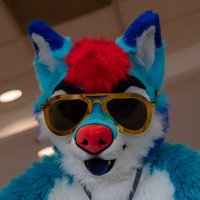 Slush ๐ AC (@slush_husky) 's Twitter Profile Photo Slush ๐ AC (@slush_husky) 's Twitter Profile Photo
