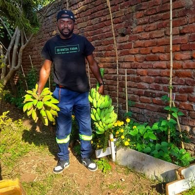 Farmer  and Plant dad👨🏽‍🌾 | ENTIO FARM 🐖🐓🍋🍅🌶🥑🫘 | Good vibrations 🍃|
Gemini ♊