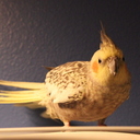 Barb Stead - @BarbStead - Twitter