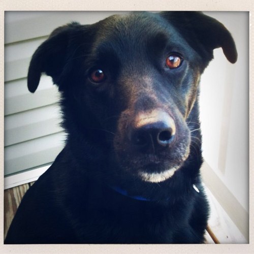 LoMorris23's profile picture. 