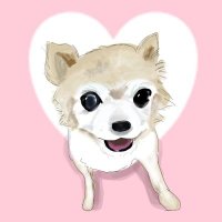 スートト（チワワのトト16歳🐾🌈🌷ママ）(@sumire10toto5) 's Twitter Profile Photo