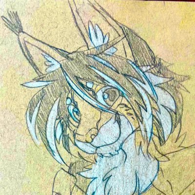 Vidaniさんのプロフィール画像