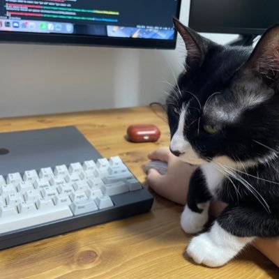 Ryuki1126Tw's profile picture. web開発メインの個人事業用垢 Ryuki Yamamoto