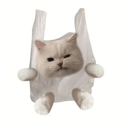 lbrgvrls's profile picture. 