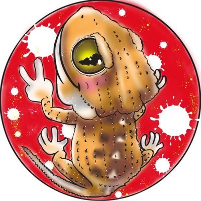 子供をきっかけに沼った爬虫類🦎カナヘビ4、オビタマオヤモリ1、ヘルメットゲッコー5、レオパ3、エダハヘラオヤモリ2、ホーネリーカメレオン2の飼育に奮闘中!!無言フォロー失礼します🙇🏻まだまだ初心者、情報交換や爬虫類好きと仲良くなりたい😁