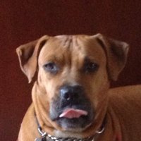 Ladydi (@ladydi25059763) 's Twitter Profile Photo Ladydi (@ladydi25059763) 's Twitter Profile Photo