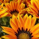 Terry Sheridan - @TerrySheri4616 - Twitter