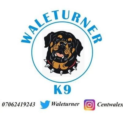A dog breeder|| consultant of different breeds|| @Arsenal die hard|| business tycoon|| into logistics call me for your delivery & pick || number 1 k9 obident✊🏾