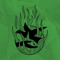 The Scratch (@thescratchmusic) 's Twitter Profile
