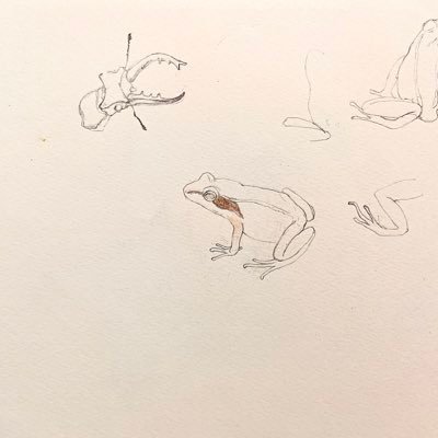 東京藝術大学院修了/絵画や立体の制作 日本画 水彩 粘土とかデジタル 色々 /ご連絡:ダイレクトメッセージかryofujimaki8@gmail.comまで☆