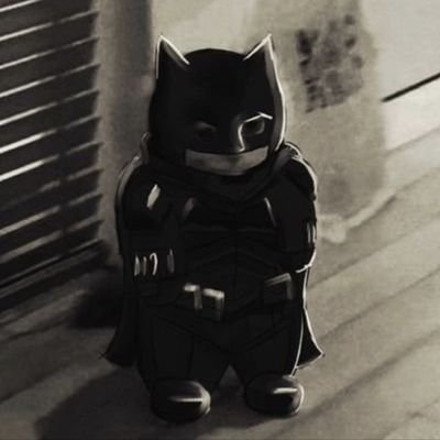 BatOfTheBelfry Profile Picture