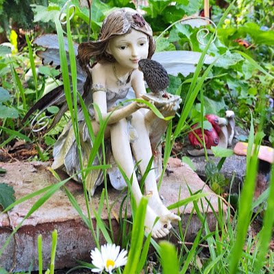 GesinePa's profile picture. 