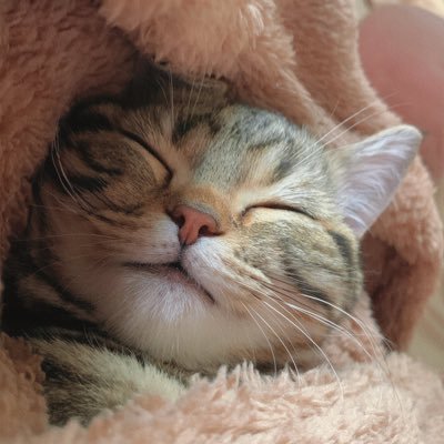 Amon_val18's profile picture. bading