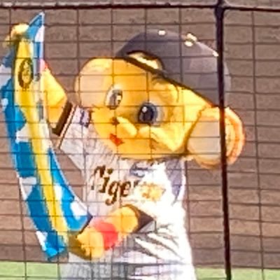 プロ野球/高校野球/サッカー/セレッソ大阪/レスターシティ/バスケ/NBA/マーベリックス/ウォリアーズ/Bリーグ/大阪エヴェッサ/女バス/ラグビー/格闘技/平本蓮