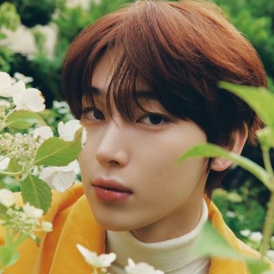 kimsnwoof's profile picture. teudoongie // sana's