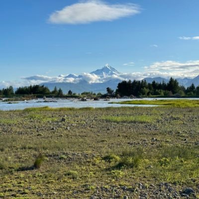 wyliepro's profile picture. 