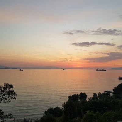 Abcdefg47410673's profile picture. 