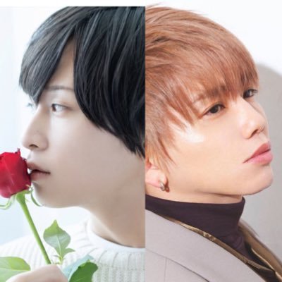 ノースウェア - Search / X