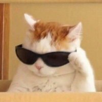 thewizecat (@wize_cat) 's Twitter Profile