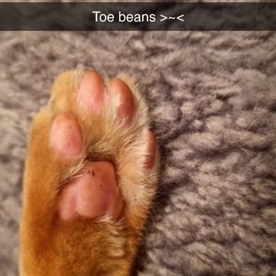 Geckky623's profile picture. 21 years old^
Mentally healthy I sweAr :P
Aspiring indie game dev✨️

                              nsfw🔞 account: @h_servik