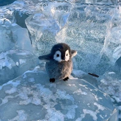 虹さんのプロフィール画像