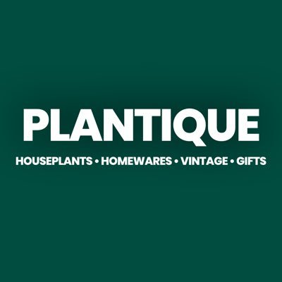 PlantiqueShop's profile picture. Houseplants • Homewares • Vintage • Gifts 🏴󠁧󠁢󠁳󠁣󠁴󠁿Stocking over 30 local makers and artists 🕰️ Open Daily 11am-6pm 🪴 Jungle Terrarium Workshops 👇