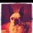 Caroline Funk - @CarolineDfunk - Twitter