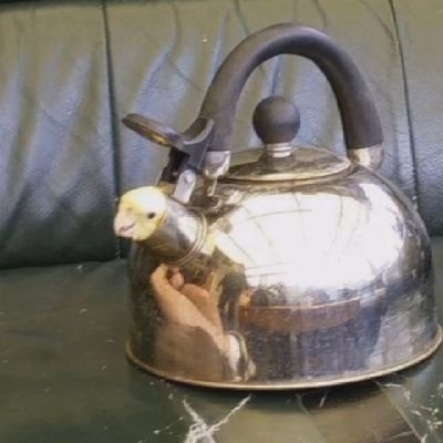 Mangelin5's profile picture. Una patata.