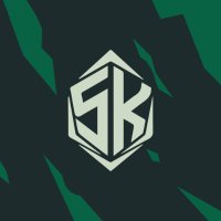 Skulls esports (@skulls_esports1) 's Twitter Profile
