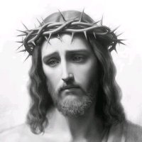 Les écrits de la Bible sainte (@lesecrits1) 's Twitter Profile