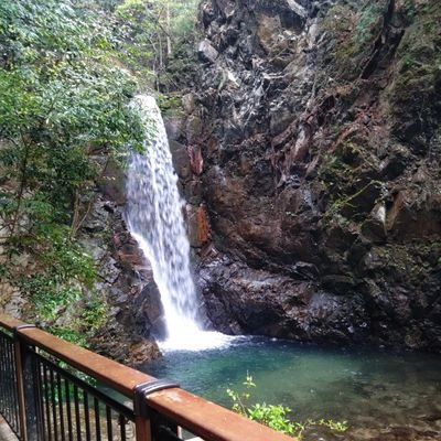 幻想郷西の方に迷い込んだのG+民です!僕の趣味は東方project、ソフトボール、広島カープファン、神社寺巡りです!後良い商品買ったらツイート上げます!!(超たまに顔出すかも…)
後気楽にフォローしても構いません!
フォローしたら返しますが、流石にセフレとかヤバそうな人は申し訳ないですがフォローしませんごめんなさい!!