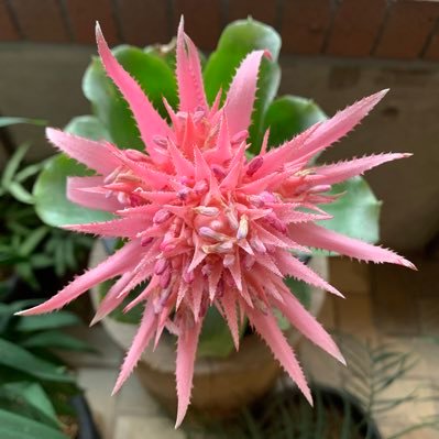 tmpgirl_R's profile picture. ネオニート♦︎駆け出しエンジニア。Hack the Life。 traveller #investor #programmer #FX #crypto #warrier #alien #human #followme ~銀河放浪の旅~