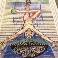 TheObserver (@thefermament) 's Twitter Profile
