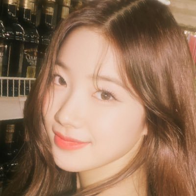 ┊ズハちゃん推しだけどチェウォンもユンジンもウンチェも推している。さくらは永遠の推し┊11/19東京ドーム⭐︎プレミアム⭐︎ ┊8/24ファンレターお渡し会 東京【ズハちゃん】